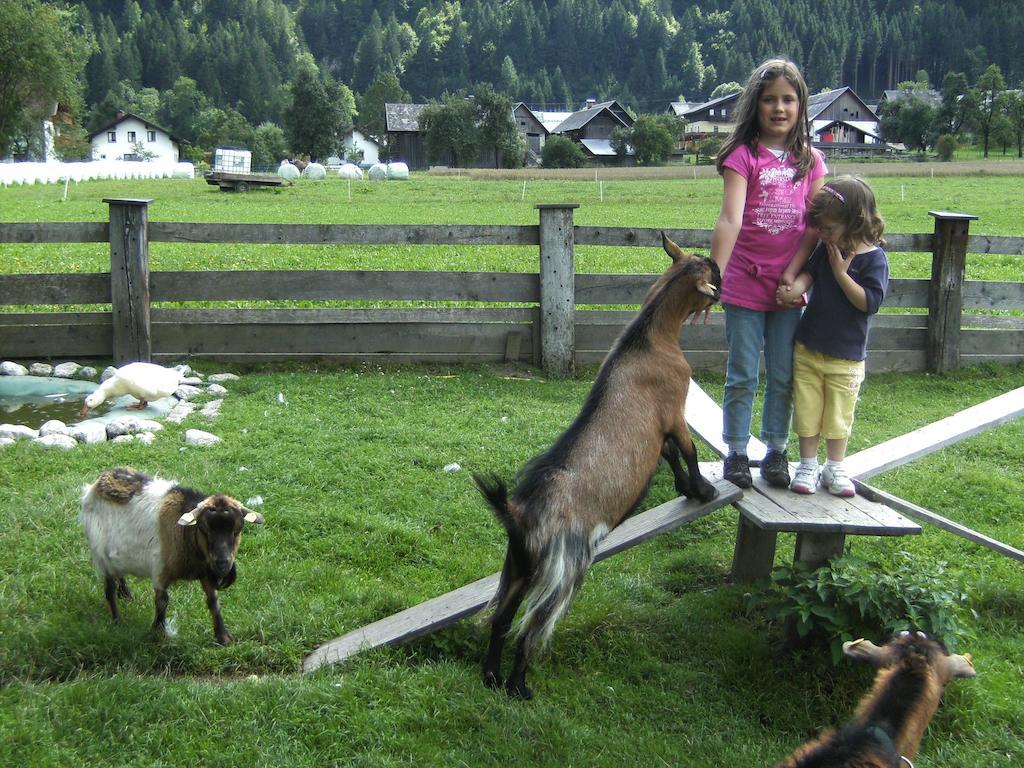 Farm stay Bauernhof Katin *